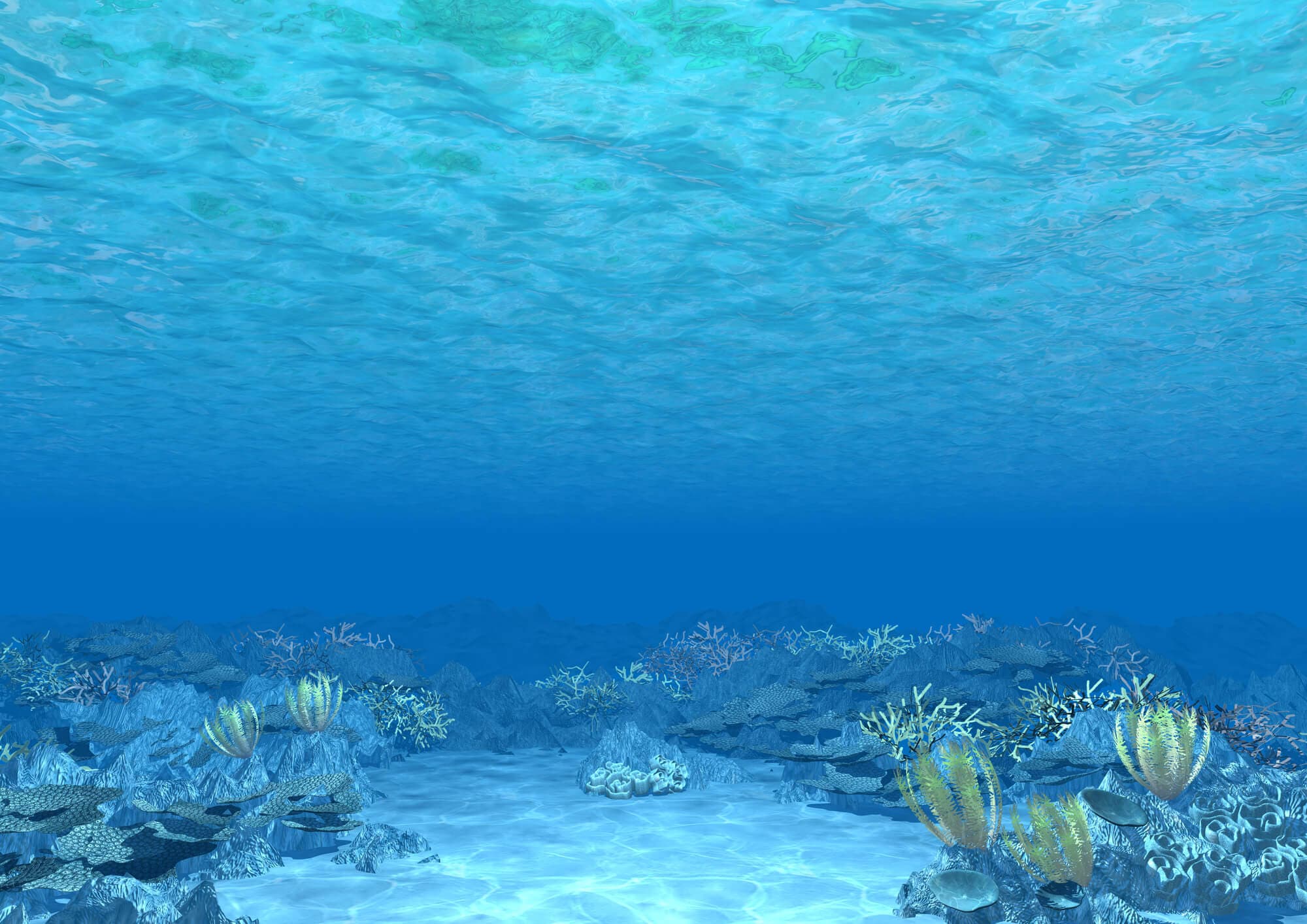 海洋深層水-海洋深層水三つの特徴